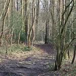 Brunnenhof 3* Roetgen