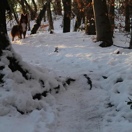 Hotel Brunnenhof בית הארחה רוטגן