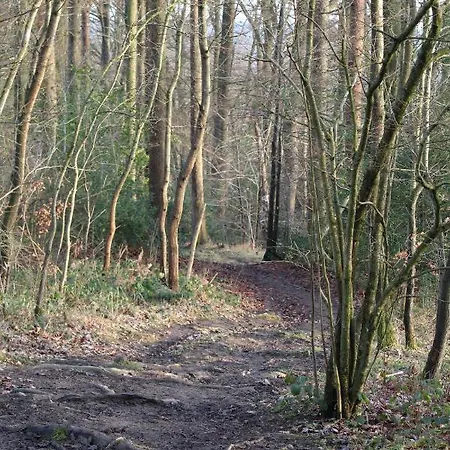 Hotel Brunnenhof 3* רוטגן