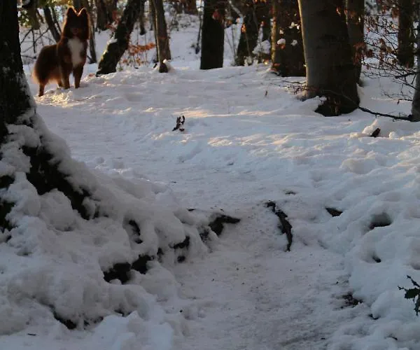 Hotel Brunnenhof Konukevi Roetgen