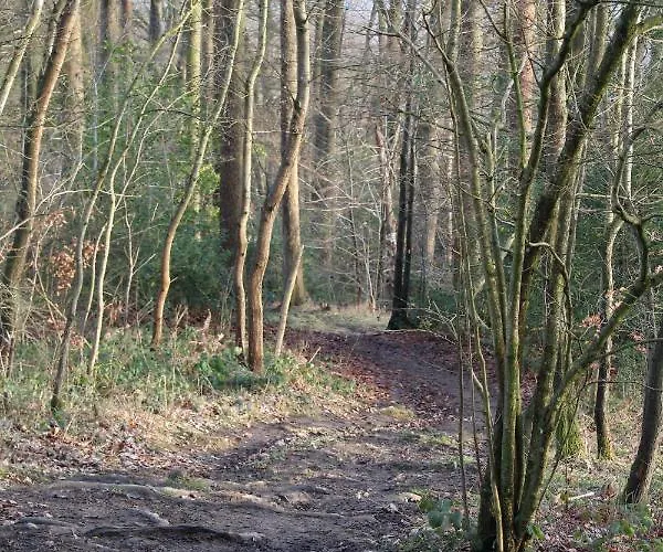 Hotel Brunnenhof 3* Roetgen